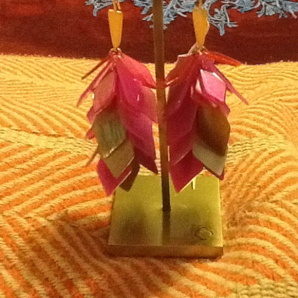 Kendra Scott earrings